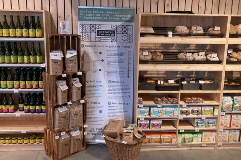 Du nouveau dans nos magasins : les farines Histoire d’un grain