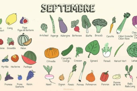 Bientôt septembre :  quels sont les fruits et légumes de saison?