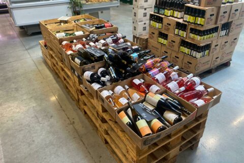 Into the Wine : une nouvelle gamme de vins à découvrir dans nos magasins