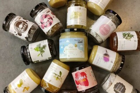 Des abeilles et du miel…