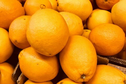 Faites le plein de vitamines, profitez de nos merveilleuses oranges d’Espagne