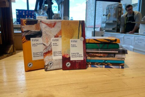 VIVANI : L’art du chocolat Bio au service de la passion et de la durabilité