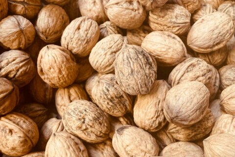 Les noix, un délice à déguster sans modération