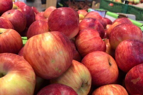 La Pomme Juliet® : Un délice BIO en rouge et jaune