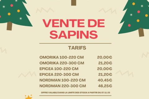Mon beau sapin…