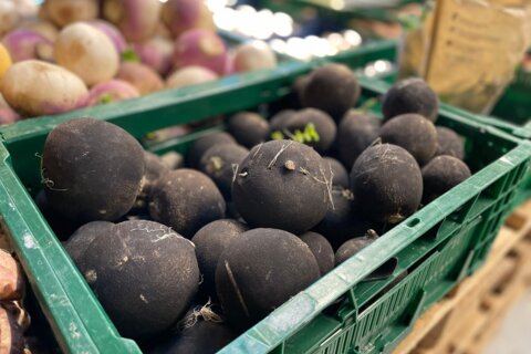 Radis Noir : le superhéros détox après les fêtes
