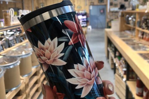 Les gourdes Qwetch et le charbon de bambou : une solution écologique pour une eau pure