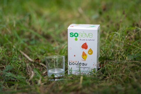 La sève de bouleau : un élixir de santé naturel !