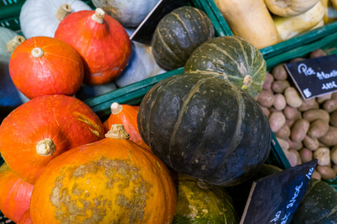Le potimarron, c’est de saison !