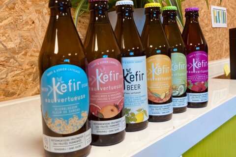 Kéfir Eau Vertueuse : la boisson vivante bio sans sucre