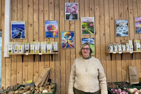 Plongez dans un merveilleux voyage avec l’exposition de Françoise Lesage