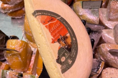 Divine Valentine : le fromage à pâte molle d'exception de la Ferme de Jambjoule
