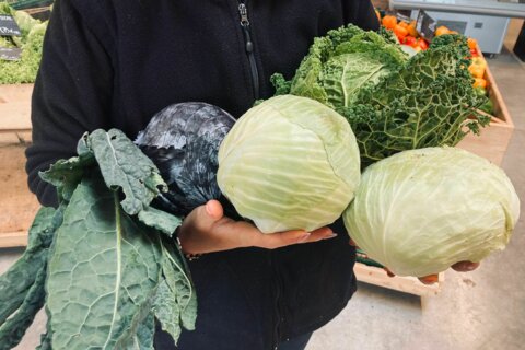 Octobre : les fruits et légumes de saison